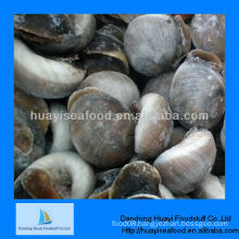 Fresh frozen whole moon snail